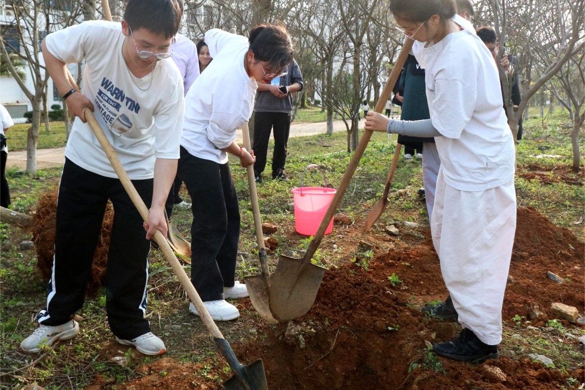 Últimos blogs da empresa sobre Florestação tecnológica de Honhai: Proteção dos pulmões verdes da Terra