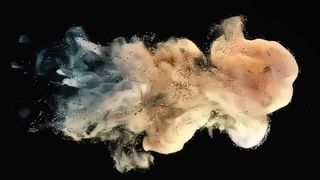 Pó revelador Toshiba D5070 500g para e-STUDIO